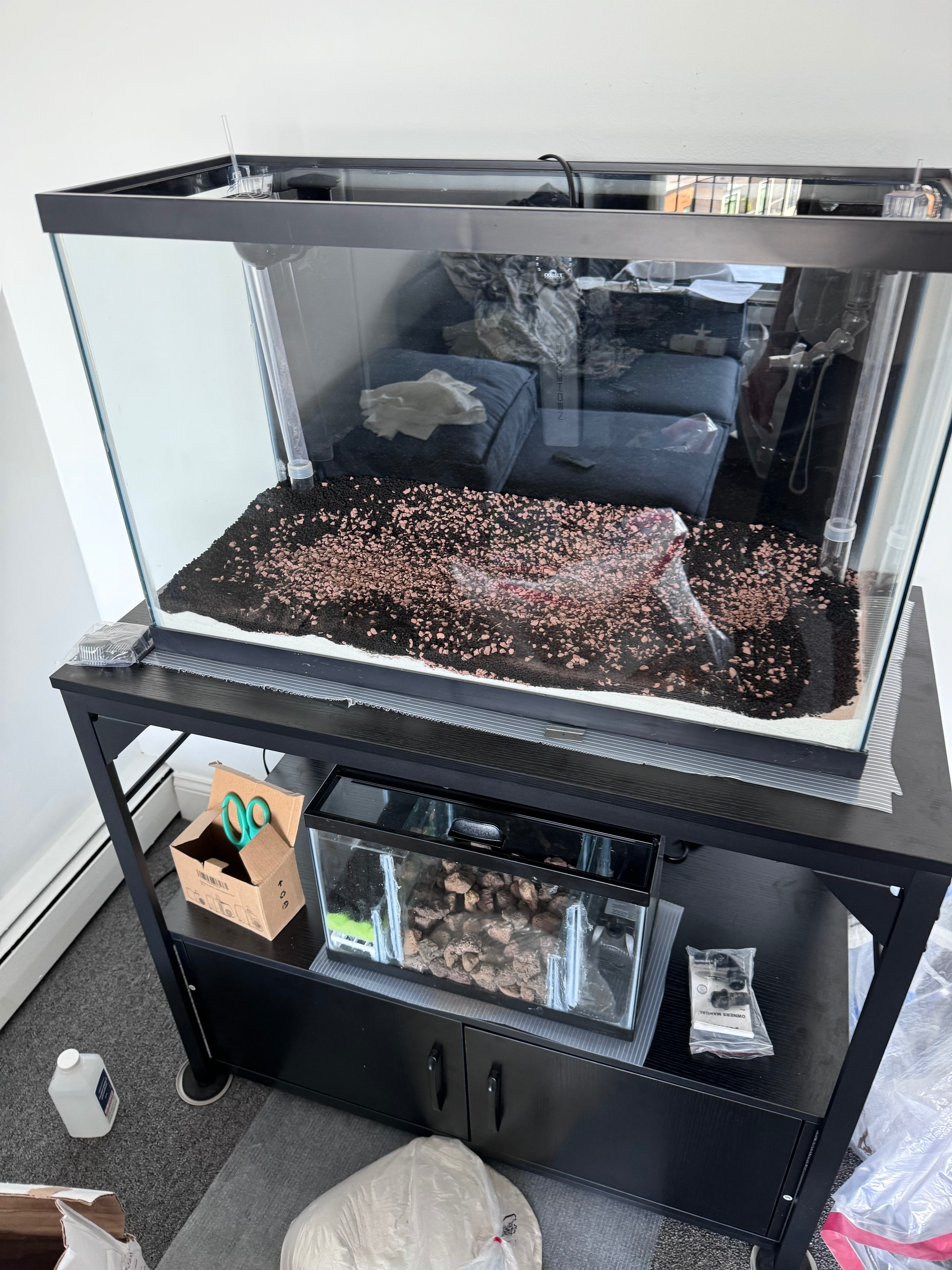 29-gallon planted aquarium running on a DIY freshwater sump system