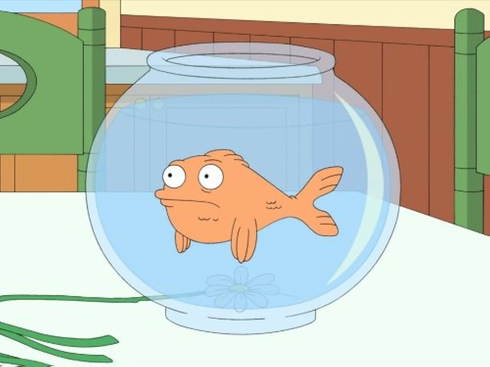 Pop-culture style goldfish bowl depiction highlighting the myth of keeping goldfish in bowls.