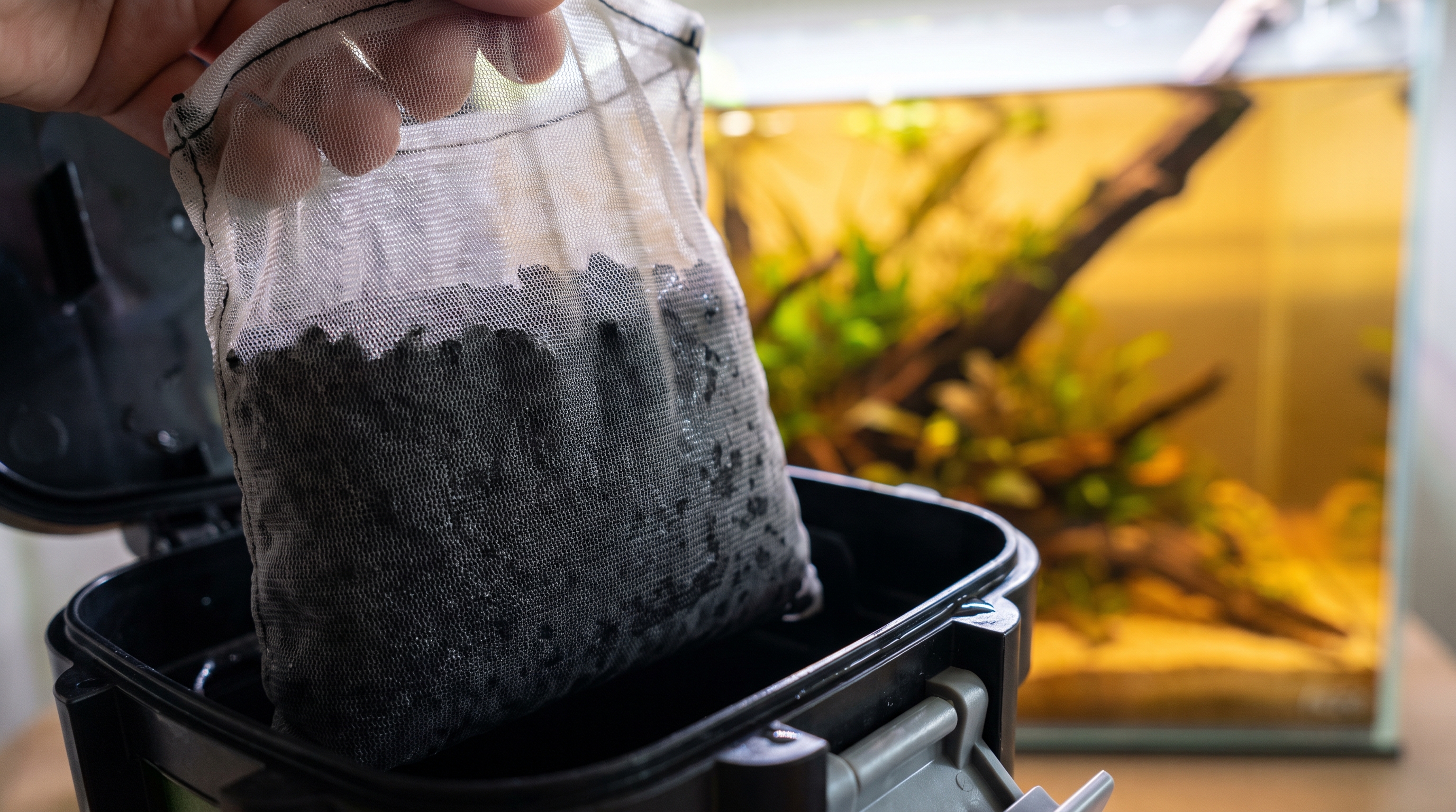 Activated carbon and Purigen removing tannins from aquarium water