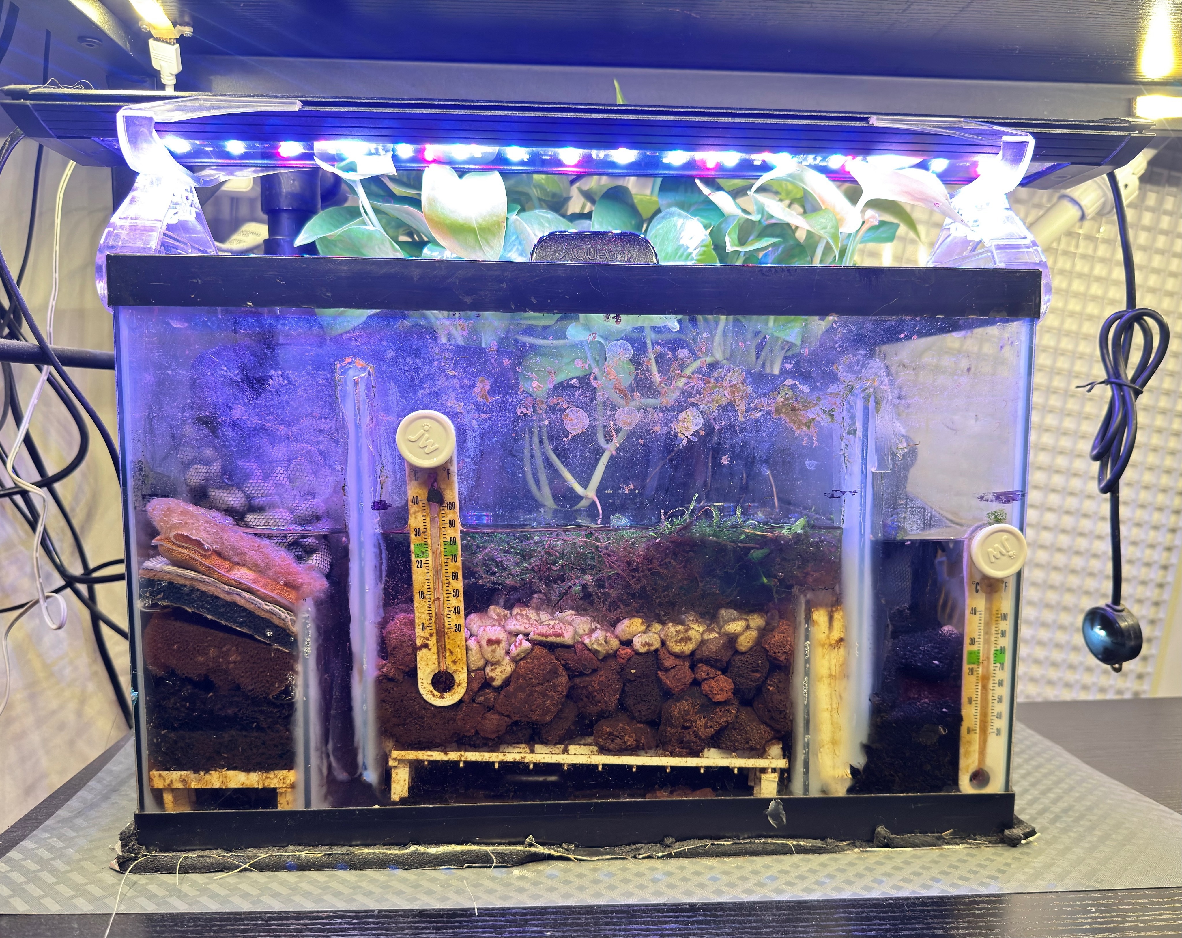 Aquarium sump mechanical filtration chambers showing bottom-up flow through sponge and media stages
