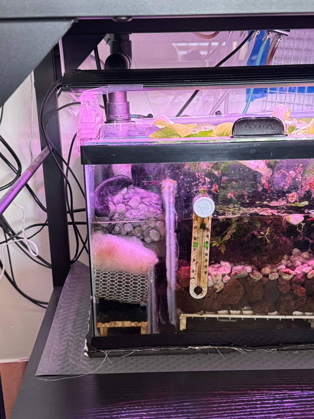 Filter chamber update with Seachem Matrix bag installed (November 20, 2025)