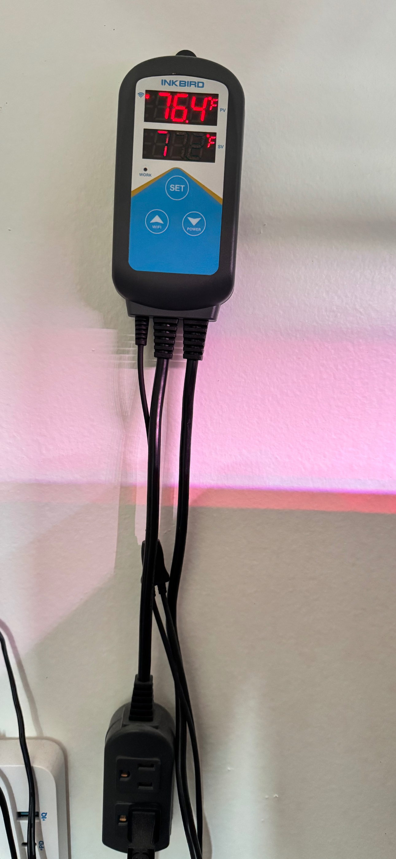 Inkbird ITC-306A temperature controller mounted near an aquarium setup.
