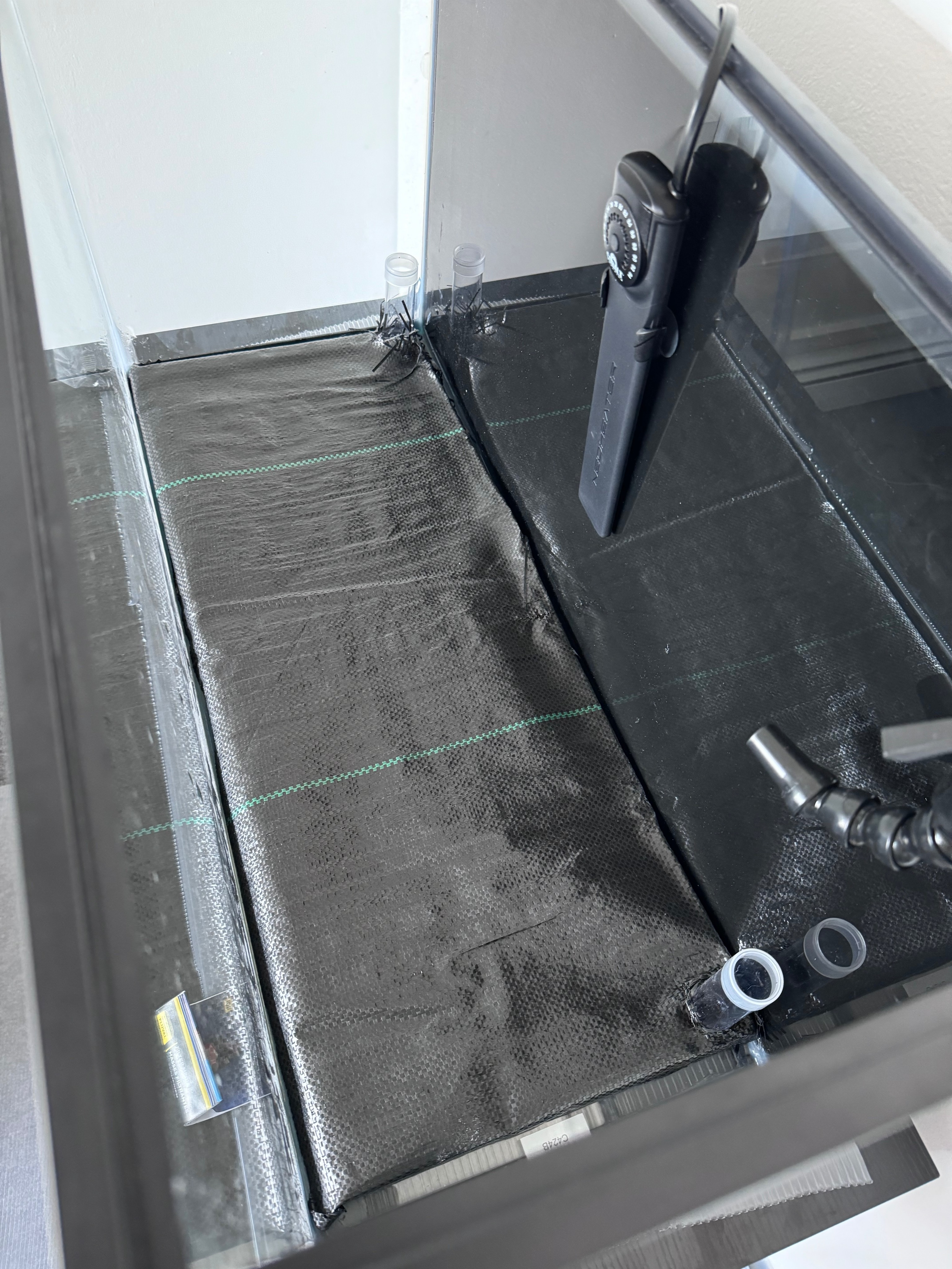 Undergravel filter case study planted aquarium with visible substrate flow