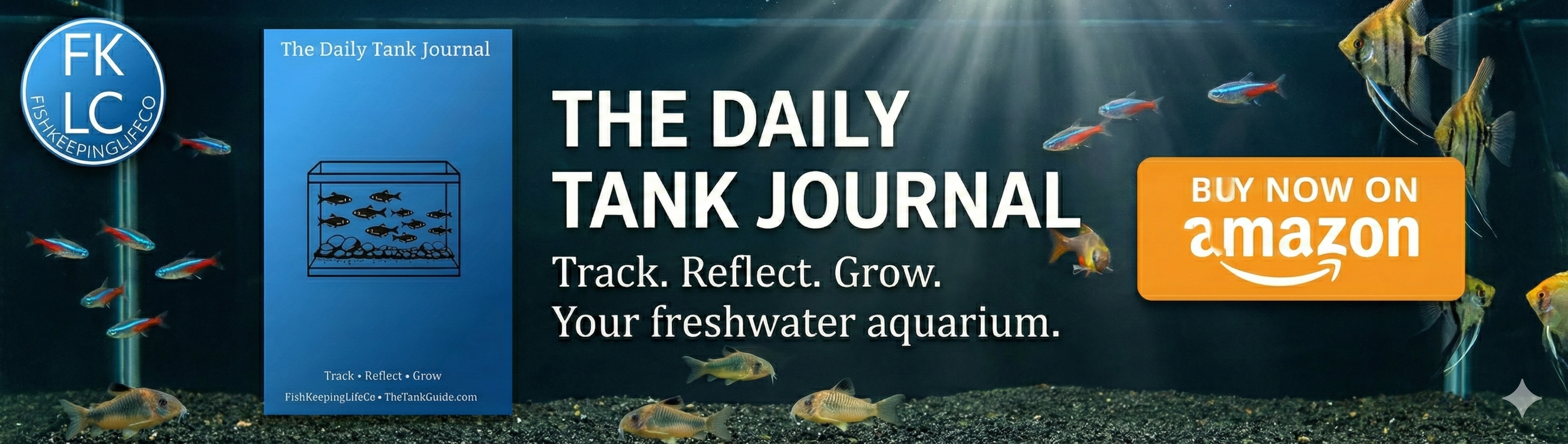 Daily Tank Journal promotion