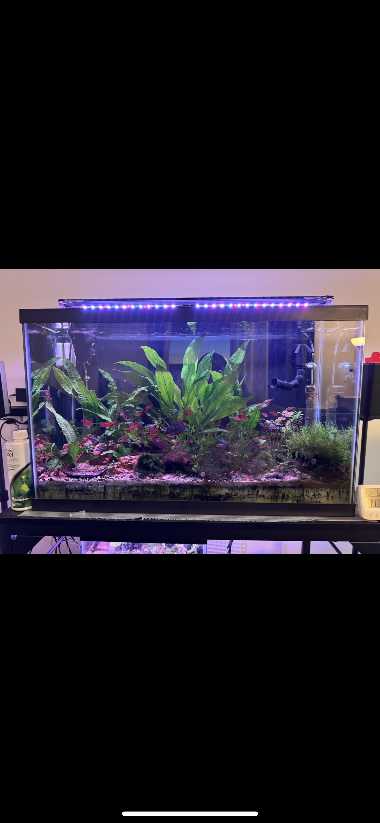 Featured community aquarium from The Tank Guide — user-submitted tank