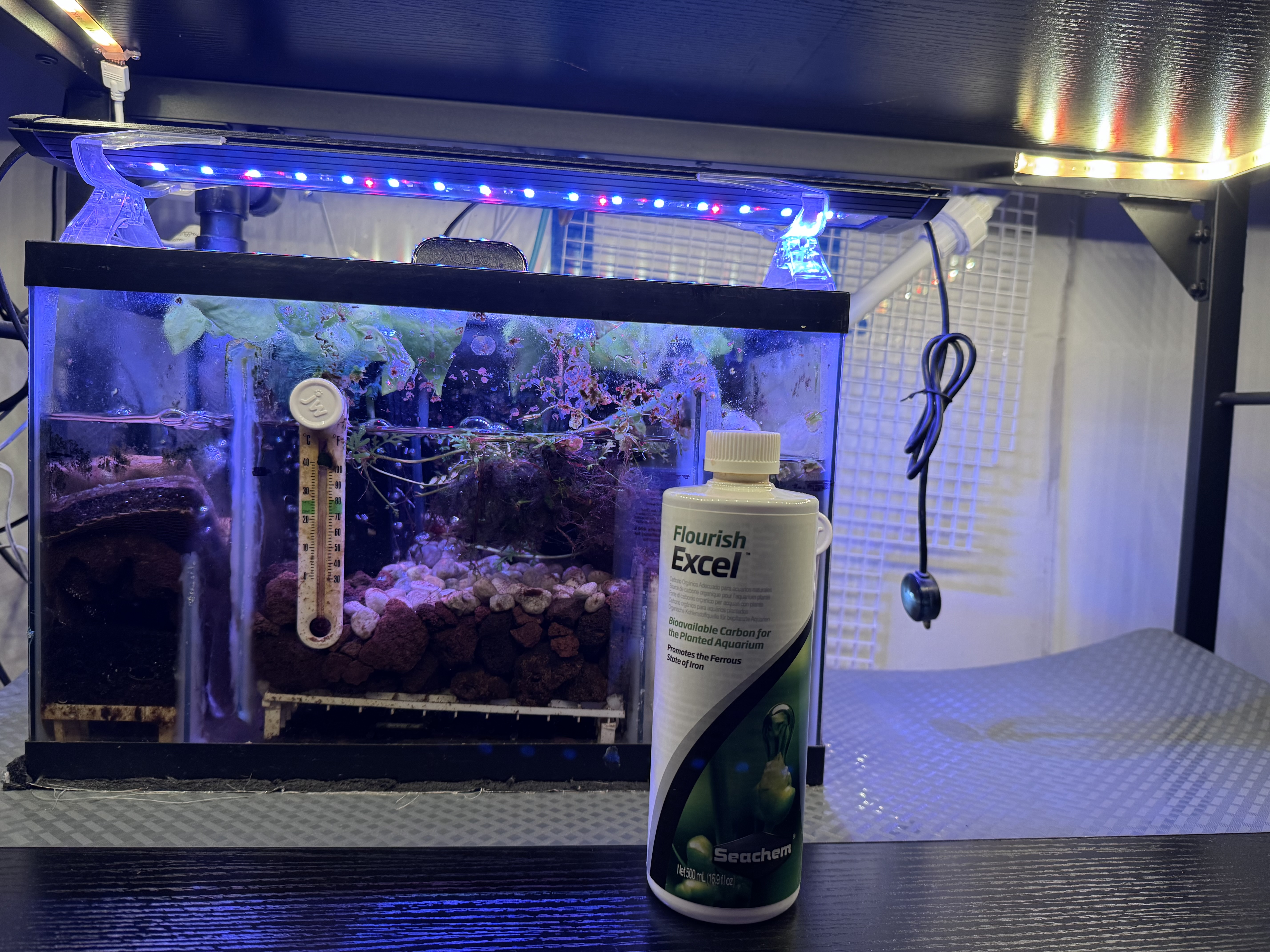 Seachem Excel bottle in front of an activated sump refugium section