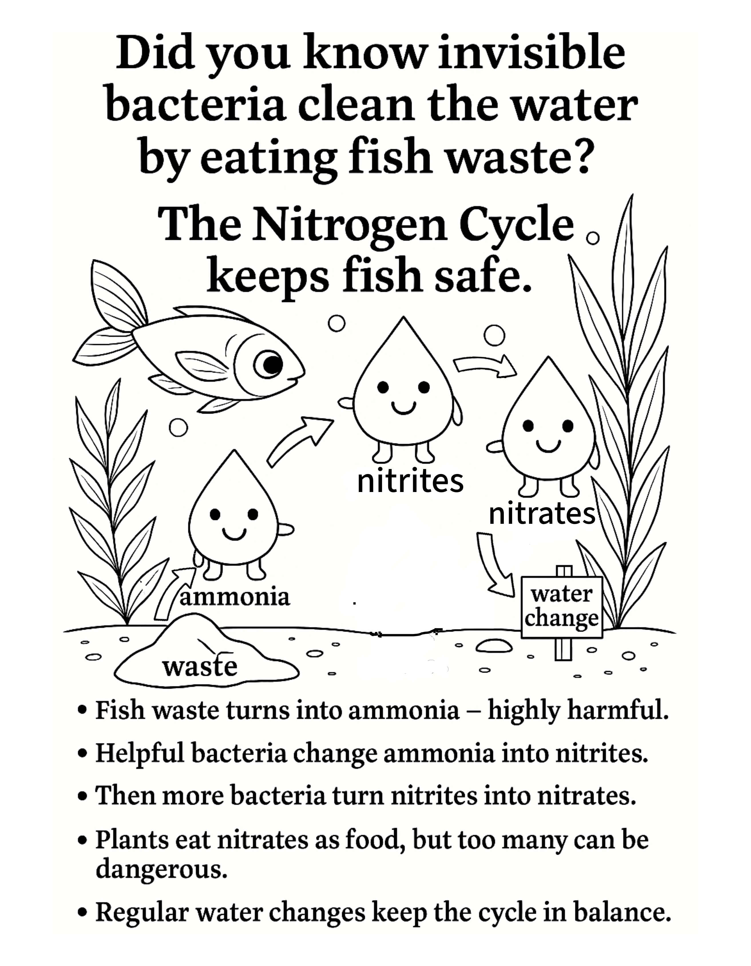 Educational nitrogen cycle diagram showing fish waste turning into ammonia, nitrite, and nitrate, keeping aquariums safe.
